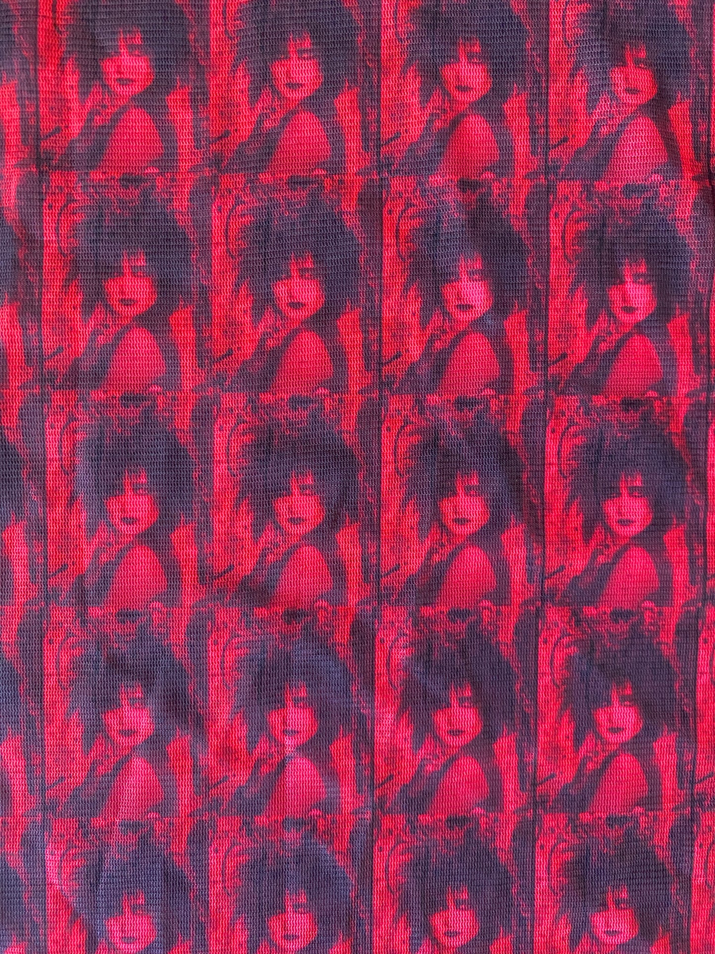 Siouxsie Red Print Mesh Crop Top